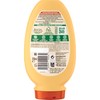 Garnier Hair Conditioner (with Ice Treasures) – 250 ml