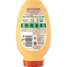Garnier Hair Conditioner (with Ice Treasures) – 250 ml