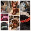 Rhinestone Flower Dog Collar - Sparkling Leather Pet Collar -