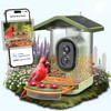 Smart Bird Feeder with Camera