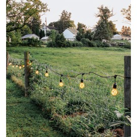 Norb Star String Lights - Each Bulb Contains Dozens of Tiny Stars for Unique Cosmic Lighting. Mesmerizing LED Strand for Outdoors & Indoors, Patios, Events, Weddings & Everyday.