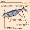 DAIWA SB-Rodem Flat for Seabass Jig Head + Worm 1.1