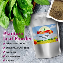 Best Botanicals Plantain Leaf Powder 16 oz.
