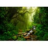 Fmarui Tropical Jungle Backdrop Rain Forest Evergreen Forest Small Waterfall