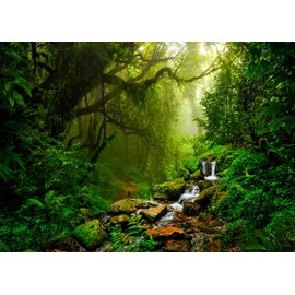 Fmarui Tropical Jungle Backdrop Rain Forest Evergreen Forest Small Waterfall Photography Background Birthday Party Decoration Photo Booth Banner, 8X6FT
