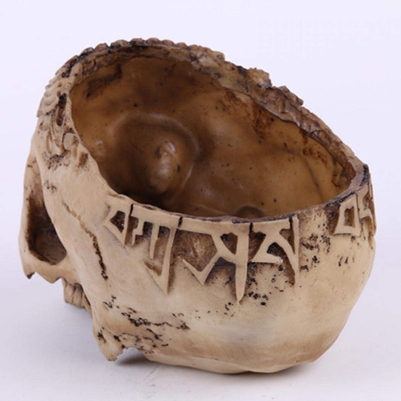 Creative Flower Pot, Resin Skull Shaped Head Design Flower Pot