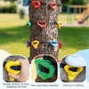 15PCS Ninja Tree Climbing Holds and 6 Sturdy Ratchet Straps