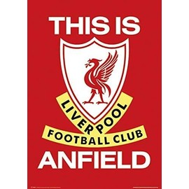 Liverpool FC This is Anfield Flag Poster 11 x 17 Inches 28 x 43 cm