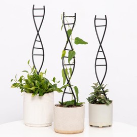 Yohsnor 3 Pcs Indoor Plant Trellis Set - Black Metal DNA Design for Potted Plants, Small Houseplants & Climbing Support - Modern Home Decor & Vertical Garden Display - Perfect for Indoor & Outdoor Use