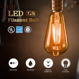 Euri Lighting VST19-3020ea, Dimmable LED ST19 Filament, 5.5W (60W Equal) 500lm, 80CRI, Warm White (2200K), Amber Tint, E26, 120V, Wet Rated, UL Energy Star, 3YR, 15K HR WTY, One Count
