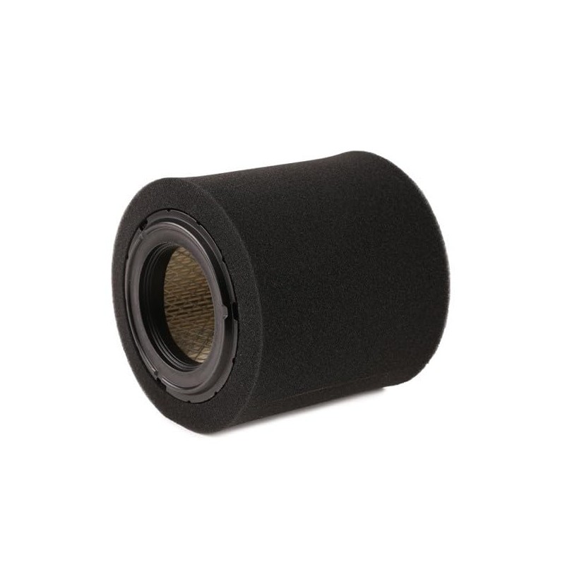 RIDEX 8A0575 Motor Air Filter Insert, Recirculation Filter with Pre-Filter