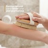 Cepillo Corporal Mejor Circulacion Exfolia Quita Piel Muerta