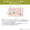 Ebisu Cosmetics MC100 Plant Collagen Solution 1.3 fl oz (33