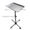 Salon Tray Beauty Rolling Cart,Height Adjustable Premium Aluminum Salon Tattoo
