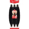 Outre Trenzas De Crochet X-Pression Trenzada Up 2X Springy Afro