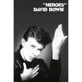 (24x36) David Bowie Heroes Music Poster Print