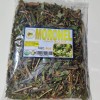 Mexican Herbs 4oz Moronel te de moronel planta/hierba de la