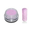 Spring Colour Glitter Powder Set Glitter Nail Design Nail Art