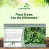 Outsidepride Green Wildflower Seed Mix - 5000 Pcs Annual, Vibrant,