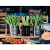 Olympia CP497 Galvanised Steel Chip Cup