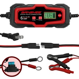 6V & 12V 6Amp Smart Charger, Maintainer, Reconditioner/Desulfator, 12V Supply, Winter Mode, with LCD Display - for Standard & Absorbed Glass Mat Lead Acid (Wet, STD, AGM) & LiFePO4 Batteries