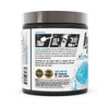 BPI 베스트 BCAA 필수 아미노산 288g (스노우콘) Recharged BPI Best