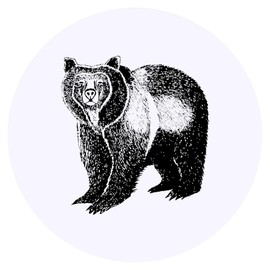 24 x 40mm Round 'Grizzly Bear' Stickers (SK00014643)