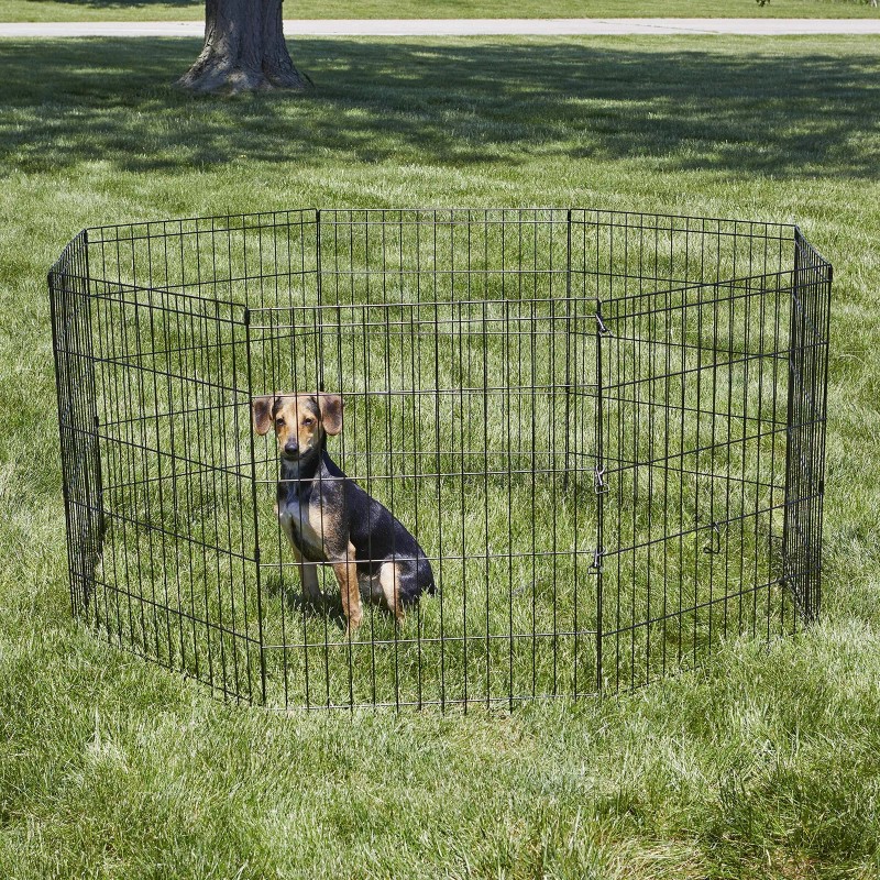 New World Pet Products 30" Foldable Black Metal Dog Exercise