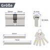 MANICAF Lock Cylinder (Brass) with Key (25/25 - Profile)