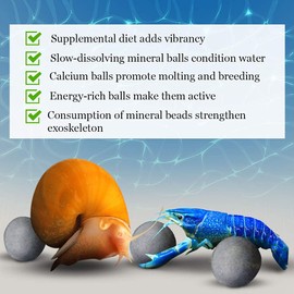 SunGrow Snail and Crayfish Energy Balls, Enhance Color, Calcium-Rich Gray Pearls for Invertebrates, Functional and Beneficial Aquarium Decor, 10-Pieces per Pack