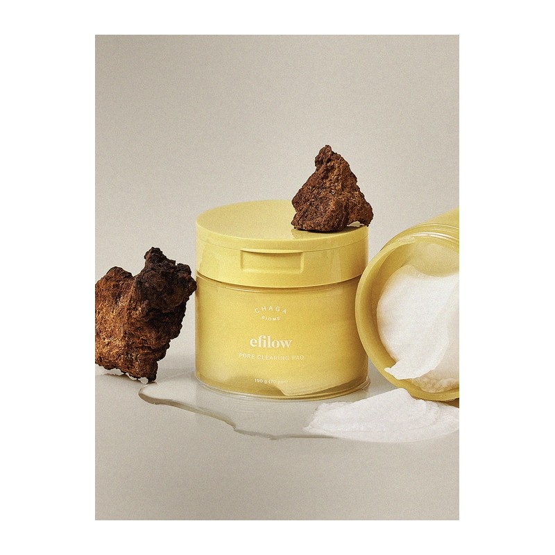 Chaga Mushroom Collagen LHA Smooth Pore Pads 70 sheets /
