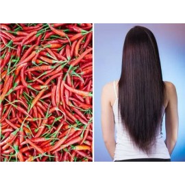 Acondionador Chile Sheló Nabel Crece Fortalece Cabello 530ml                                                                                          
