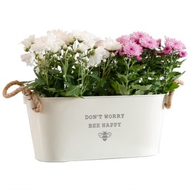 Dust and Things Engraved Metal Planter 'Don't Worry Bee Happy' - Unique Motivational Gifts for Her Women - Funny Plant Lovers Gift for Friends (Medium Planter)