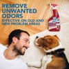 OUT! Advanced Stain and Odor Remover - Pet Stain and