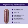 KOYAH Organic Berry Blend Capsules – 600 mg (Concentrated 7.1x