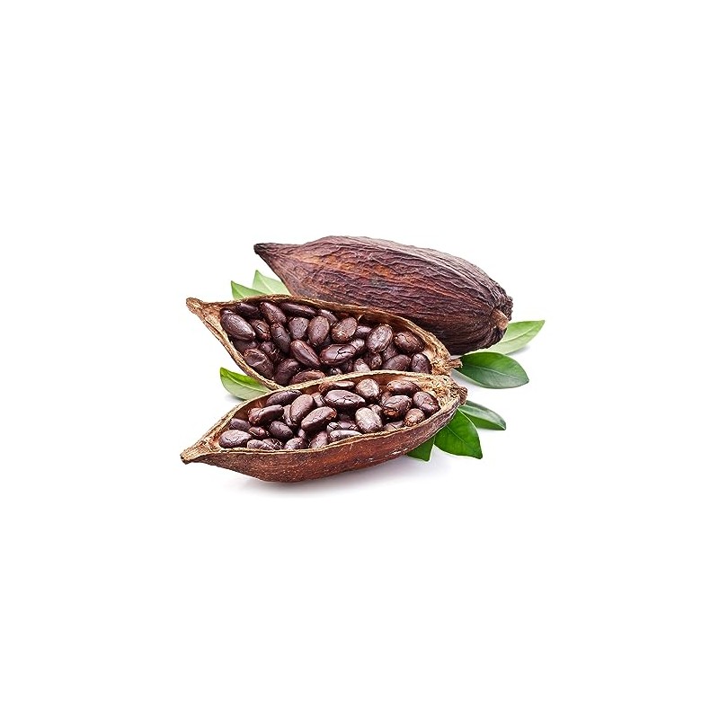 TTB Cocoa Flavoring - TTB-Approved for Brewing - PG Free