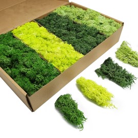 TurelinnG Preserved Moss 4 Color Reindeer Craft Moss, Total 14 OZ Each Color 3.5 OZ, Fake Moss Suitable for Flowerbeds, Crafts, Home Office Artistic Decoration (4 Colors)