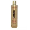 Sebastian Laminates Sheer Shampoo Weightless Shine Cleanser 8.5 oz (072)
