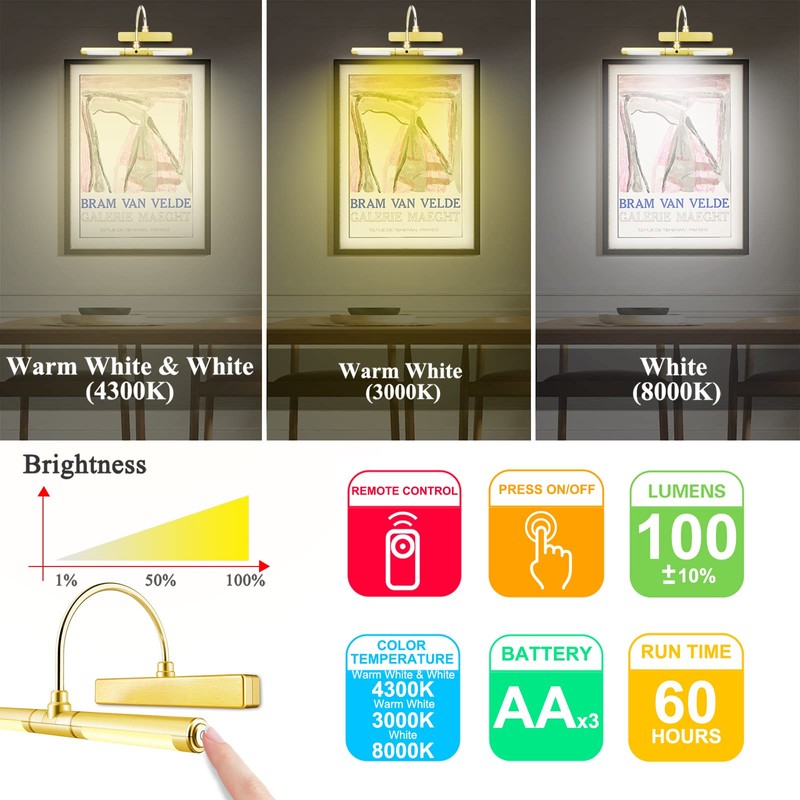 BIGLIGHT Wireless Battery Powered Bright LED Picture Light with Remote