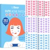 LitBear Acne Pimple Patch, 252 Dots 3 Shaped Colors Pimple