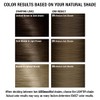 AGEbeautiful - Tinte permanente para el cabello, cobertura 100% de