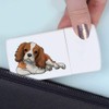 'Cavalier King Charles' Pill Box with Tablet Splitter (PI00014140)