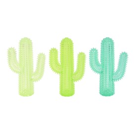 Gnawsome Spiky Cactus- Medium