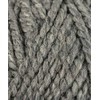 Plymouth (1-Pack) Encore Mega Yarn 0389-1P