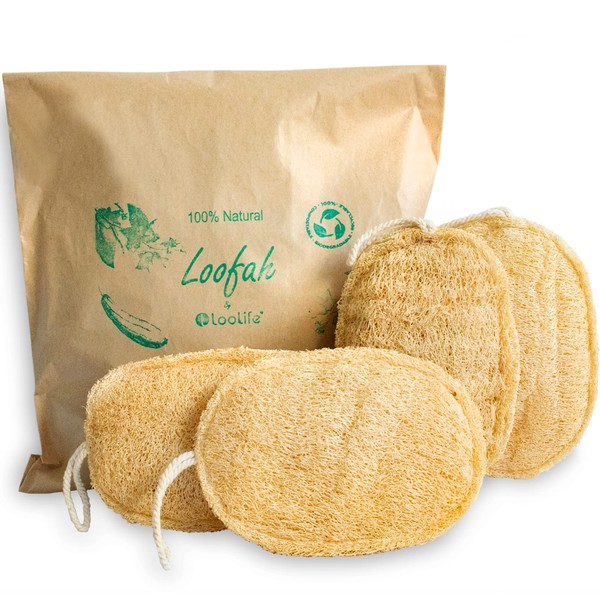 100% Natural Loofah Exfoliating Sponge (4 Pack) - Loofah Body Scrubber - Loofah Sponge - Organic Loofah - Exfoliating Body Sponge - Biodegradable Loofah - Bath Luffa Sponges - Exfoliating Loofah Pad