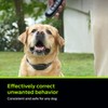 Premier Pet Dog Static Collar - 1000ft Dog Training Collar
