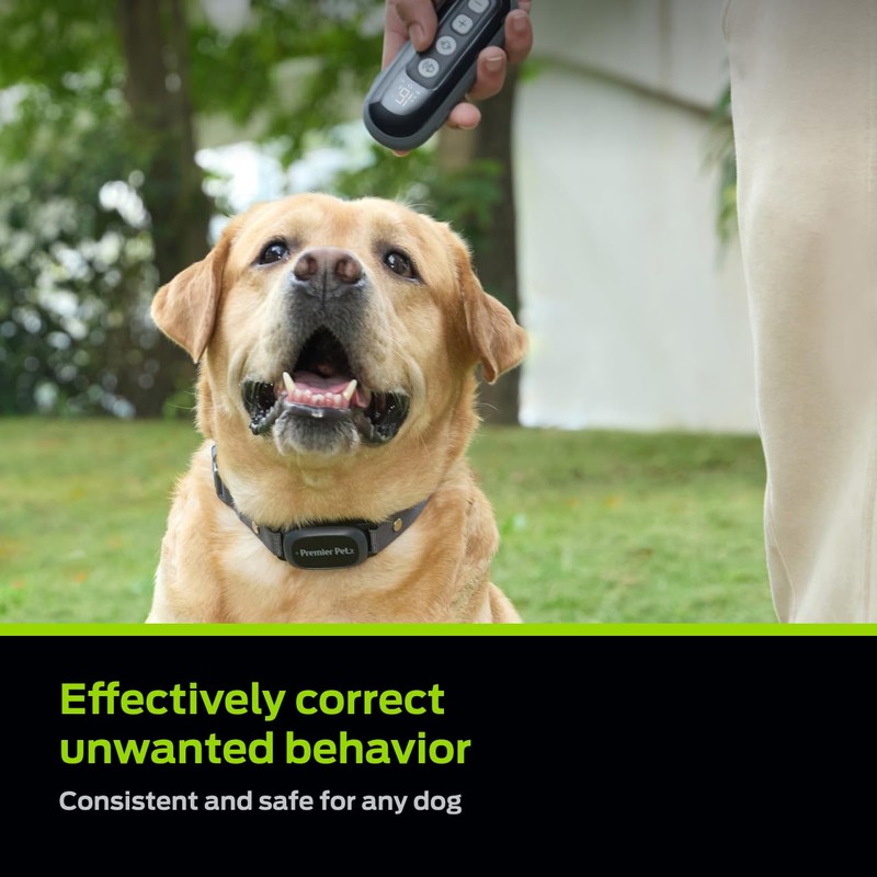 Premier Pet Dog Static Collar - 1000ft Dog Training Collar