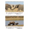 Elephant Magic DIN A5 Desk Calendar for 2022 Elephants Seelenzauber