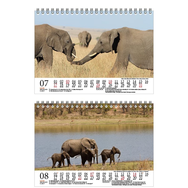 Elephant Magic DIN A5 Desk Calendar for 2022 Elephants Seelenzauber