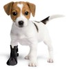 Wound Recovery Boot for Dogs. Protects and Heals Paw. Made